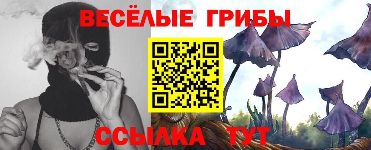 Псилоцибиновые грибы Psilocybine cubensis Усть-Илимск
