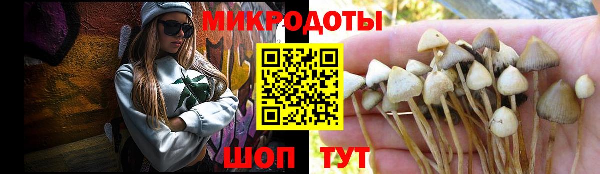 Галлюциногенные грибы GOLDEN TEACHER  Вход с VPN  Усть-Илимск  Галлюциногенные грибы Psilocybe 